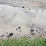 Pothole on Road at 3940 Carmichael Rd