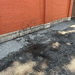 Alley Repair at 841 Kildare Rd