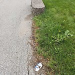 Request Additional Garbage Bin at 3490 Dougall Ave