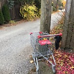 Alley Repair at 208 Hall Ave