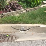 Curb Repair at 218 Vernon Cres