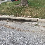 Curb Repair at 1020 Crestwood Crt