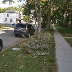 Curb Repair at 248 Bridge Ave