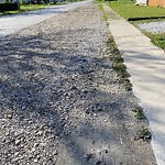 Curb Repair at 3398 Byng Rd