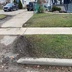 Curb Repair at 967 Campbell Ave