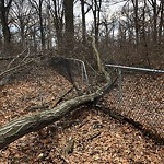 Fence Repair at 1075 Ypres Ave