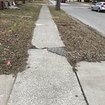 Sidewalk Repair at 332 Grove Ave