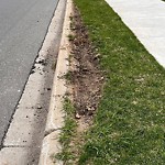 Curb Repair at 9903 Little River Ave