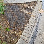 Sidewalk Repair at 8380 Enfield Pl