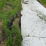 Sidewalk Repair at 219 Thompson Blvd