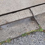 Curb Repair at 1047 Treverton Cres