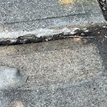 Sidewalk Repair at 920 North Talbot Rd