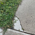 Sidewalk Repair at 1067 Bruce Ave