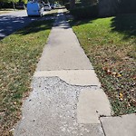 Sidewalk Repair at 2245 Woodlawn Ave