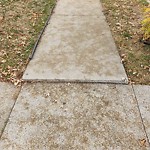 Sidewalk Repair at 3848 Devonwood Ave, Windsor, On N8 W 5 R6, Canada