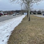 Snow on Sidewalks Adjacent to Park at 1697 Calderwood Ave