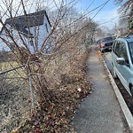 Sidewalk Repair at 1038 University Ave E