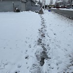 Snow/Ice on Sidewalks Residential/Commercial at 860 Rossini Blvd