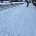 Snow/Ice on Sidewalks Residential/Commercial at 860 Rossini Blvd