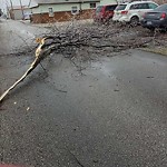 Alley Repair at 2668 Howard Ave