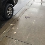 Sidewalk Repair at 110 Elliott St W