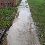 Sidewalk Repair at 1637 Assumption St