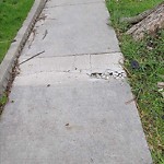Sidewalk Repair at 868 Janette Ave