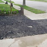 Sidewalk Repair at 3441 Sandwich St