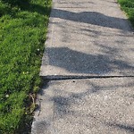 Sidewalk Repair at 2267 Mckay Ave