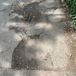 Alley Repair at 395 Josephine Ave