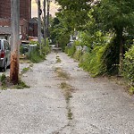 Alley Repair at 1379 Pierre Ave