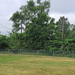 Other Parks Maintenance at 3940 Carmichael Rd