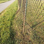 Fence Repair at 7 Wph+5 Gp, Windsor, On N9 C, Canada