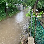 Alley Repair at 428 Bridge Ave