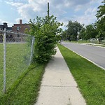 Sidewalk Repair at 949 Giles Blvd E