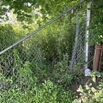 Fence Repair at 6899 Tranby Ave