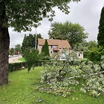 Storm-Related Tree Concern at 991 Tuscarora St