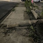 Curb Repair at 1379 Campbell Ave