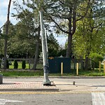 Streetlight Issue at 415 Country Club Dr