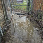 Sidewalk Repair at 3111 Regis Ave