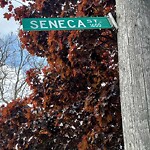 Streetlight Issue at 1518 Seneca St