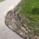 Sidewalk Repair at 1615 Aspenshore Ave