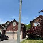 Streetlight Issue at 828 Massimo Cres