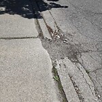 Pothole on Road at 10232 Shenandoah Cres