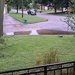 Sewer Issues / Road Flooding at 3510 Academy Dr