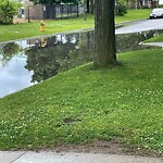 Sewer Issues / Road Flooding at 1761 Iroquois St