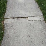 Sidewalk Repair at 3571 Bloomfield Rd