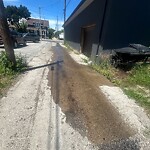 Alley Repair at 1050 Gladstone Ave