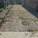 Alley Repair at 223 Gladstone Ave