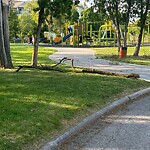 Other Parks Maintenance at 96251 West Grand Crt